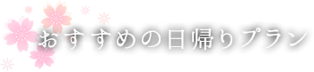 おすすめの日帰りプラン