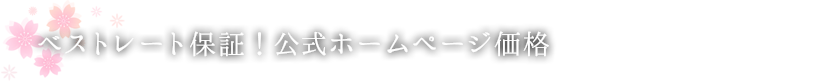 おすすめプラン